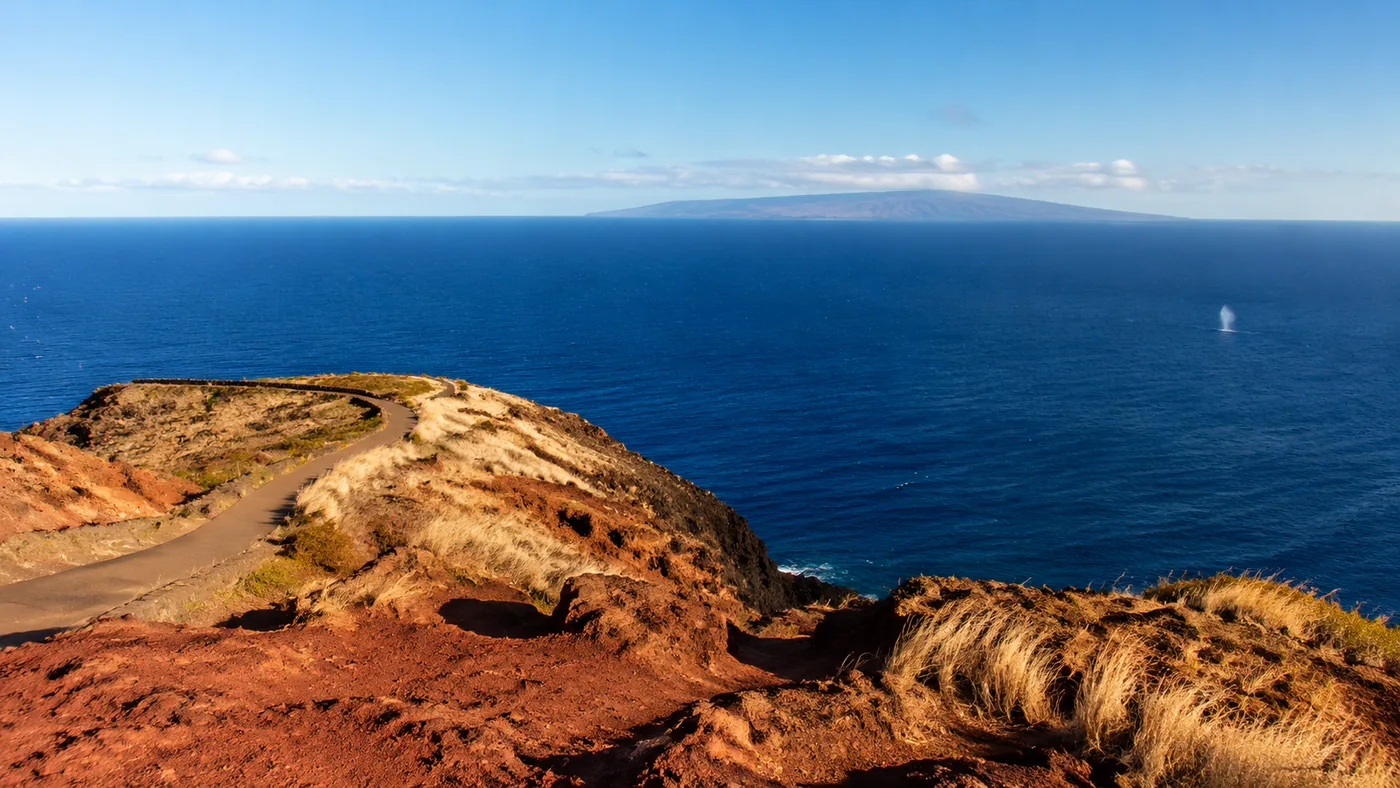 A whale spout (blow) visible from Makapuʻu Point Lighthouse Trail, the best free lookout on Oahu
