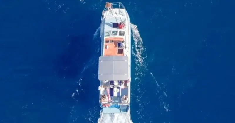 Haleiwa: North Shore Whale Watching Tour by Catamaran